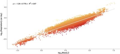 Metabolic Niches and Biodiversity: A Test Case in the Deep Sea Benthos